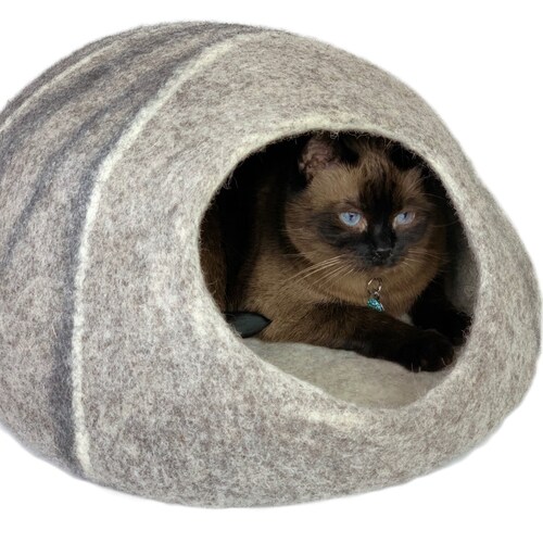 extra large cat beds