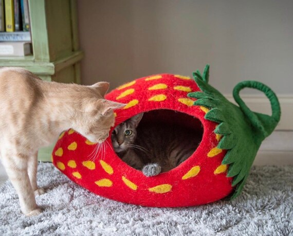 extra large cat cave