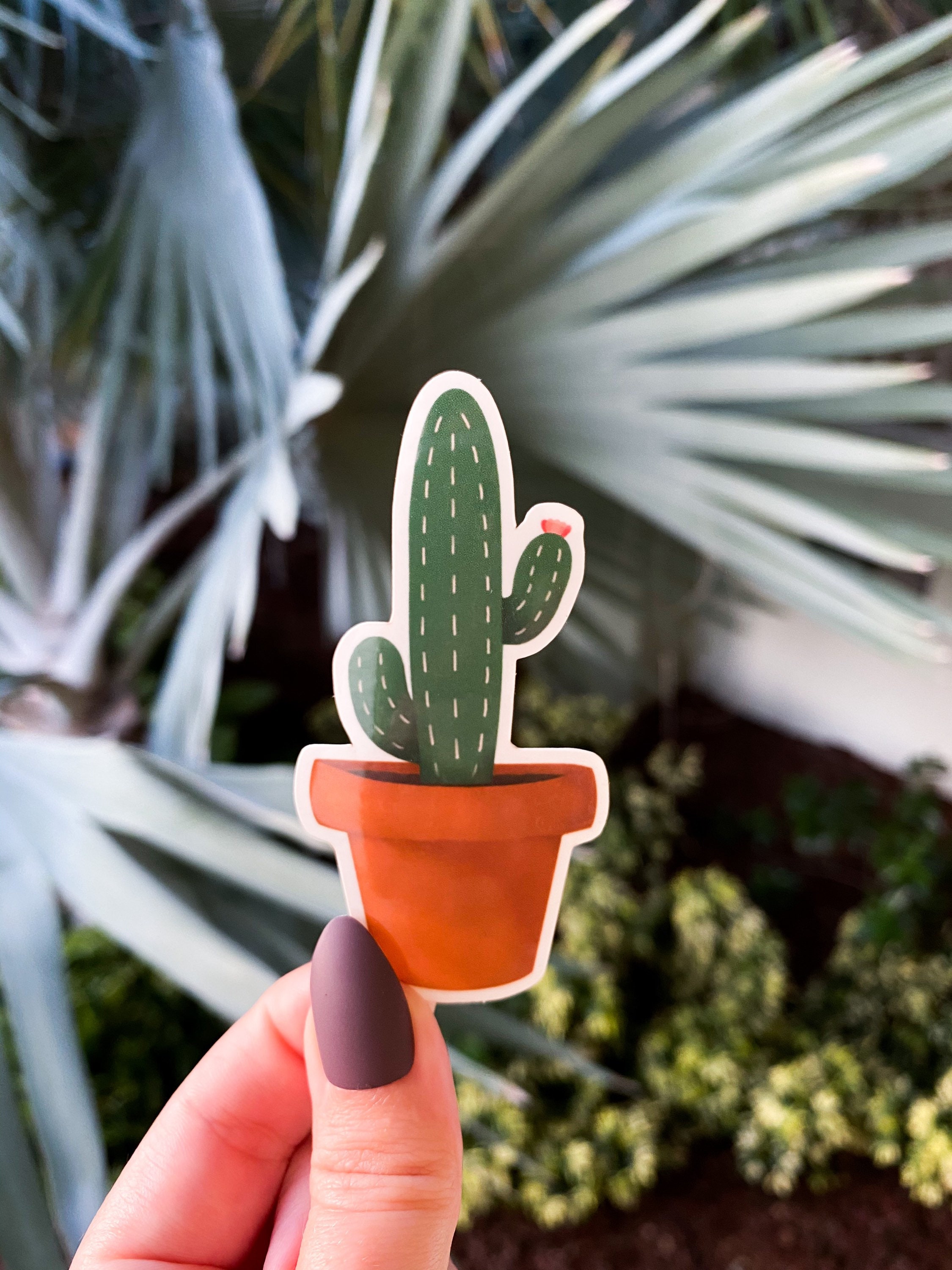 Cactus Vinyl Sticker Plant Stickers Laptop Stickers Water Bottle