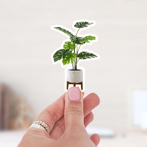 Monstera Plant Waterproof Vinyl Sticker