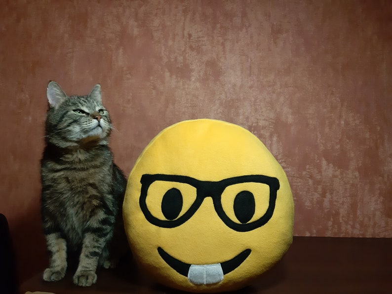 Nerd face emoji pillow Big size Hand made bespoke pillow Etsy
