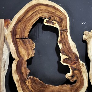 May include: A large, natural wood slice with a unique, irregular shape and a large hole in the center. The wood has a rich brown color with lighter brown and cream-colored rings.