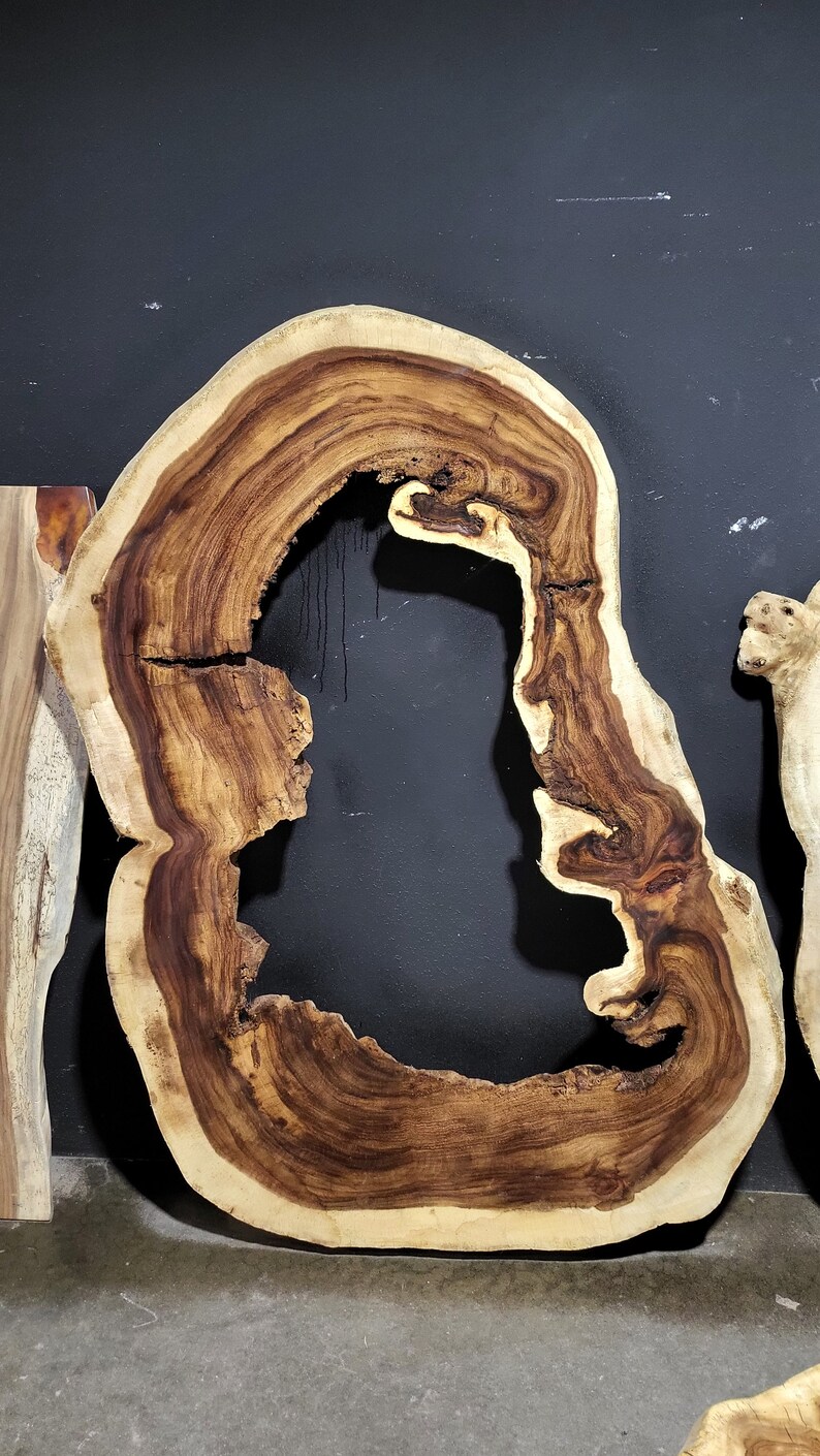 May include: A large, natural wood slice with a unique, irregular shape and a large hole in the center. The wood has a rich brown color with lighter brown and cream-colored rings.