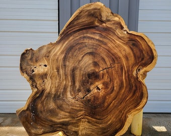 Round Parota Live Edge Dining Table | Modern Steel Base