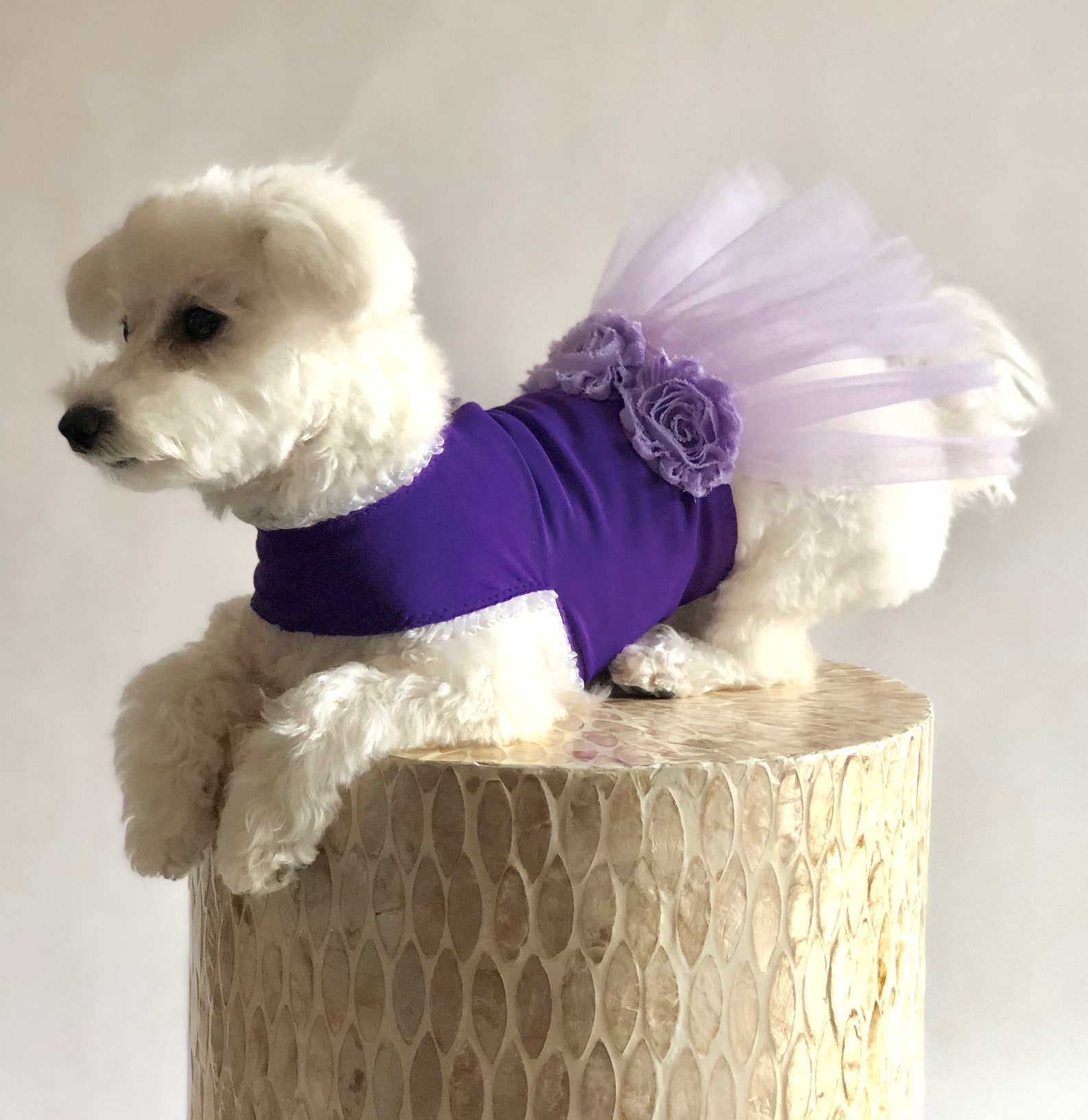 purple puppy ballet dress // upcycled pet outfit purple puppy ballet dress // upcycled pet outfit