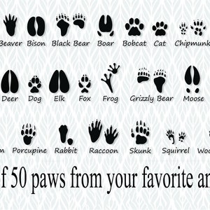 Set of 50 animal tracks stickers, Animal paws decals, Choose your animal tracks, DIY wall design, Animals prints decal, Animal footprints