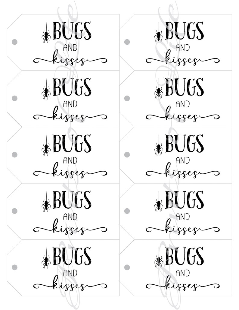 Puede incluir: Cinco etiquetas de regalo blancas con una ara&ntilde;a negra y el texto "Bugs and Kisses".