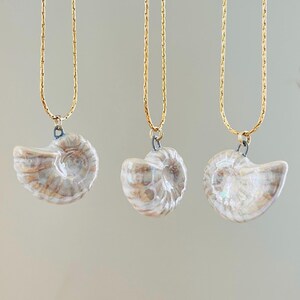 Iridescent Ammonite Ceramic Shell Charm with 18” Gold Plated Stainless Steel Necklace Chain