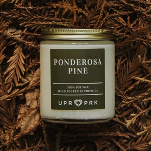 Ponderosa Pine Candle 8oz