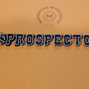 3D Printed Prospector emblem badge