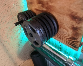 Standard Weight plate storage pin adjustable dumbbell wall mounted