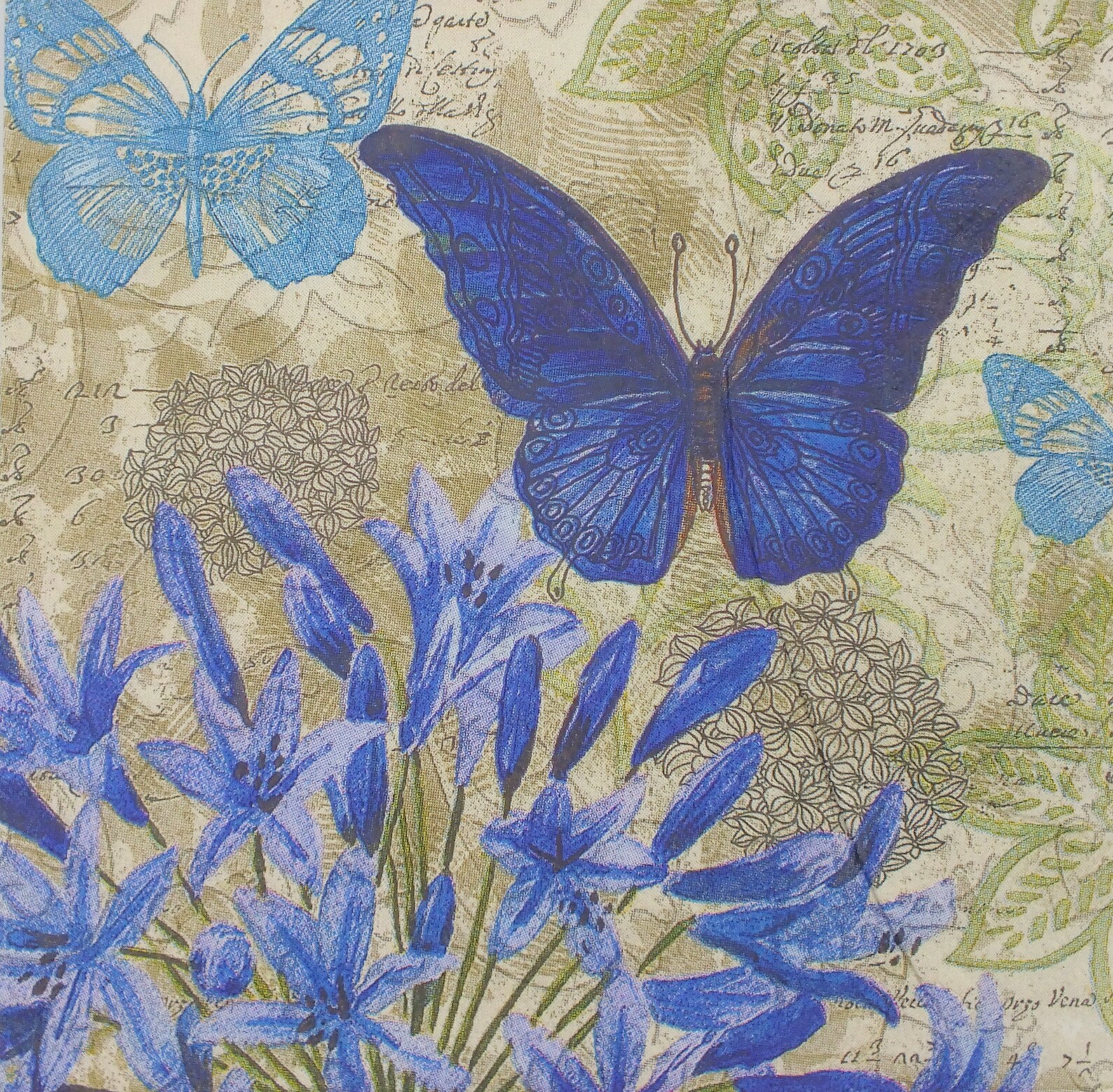 Butterfly 2 Decoupage Starter Kit Etsy UK