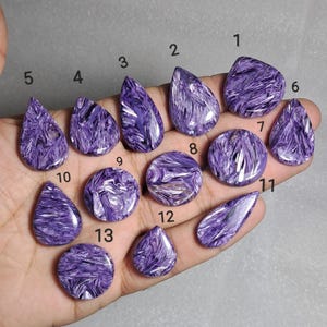 Puede incluir: Una colección de trece piedras preciosas de charoíta pulidas en varias formas, incluyendo lágrimas, óvalos y formas redondeadas. Las piedras muestran un distintivo patrón arremolinado de tonos morados oscuros y blancos, con un acabado pulido y brillante.