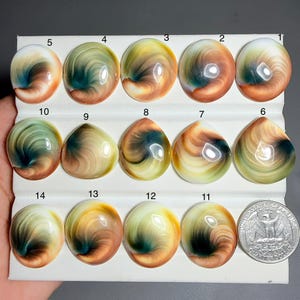 Naturlig shiv eye snäcka, shiv eye snäcka cabochon, shiv eye snäcka ädelsten, lös ädelsten för att göra smycken