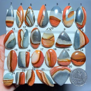 May include: A collection of twenty-four polished, multi-coloured cabochon gemstones featuring banded patterns of orange, grey, and white. The stones are arranged on a white display tray, with a coin included for scale reference.