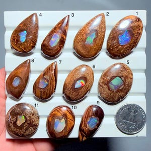 Puede incluir: Once ópalos boulder pulidos con matriz de piedra de hierro marrón y centros iridiscentes, numerados del 1 al 11, dispuestos en una bandeja blanca junto a una moneda de cuarto de dólar estadounidense para escala, con formas ovaladas y de gota.