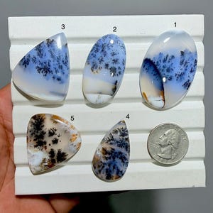 Puede incluir: Cinco piedras preciosas de ágata dendrítica pulida en varias formas. Las piedras muestran patrones blancos, azules y marrones que se asemejan a árboles o paisajes. Se incluye una moneda como referencia de tamaño. Estas piedras únicas son ideales para la fabricación de joyas o coleccionar.