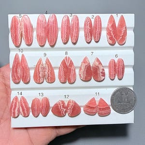 Könnte beinhalten: Eine Sammlung von vierzehn polierten Rhodochrosit-Edelsteinpaaren, die jeweils ein einzigartiges Muster aus rosa und weißen Bändern aufweisen. Die Steine sind auf einer weißen Präsentationskarte angeordnet, mit einer Münze zum Größenvergleich. Die Edelsteine variieren in der Form.