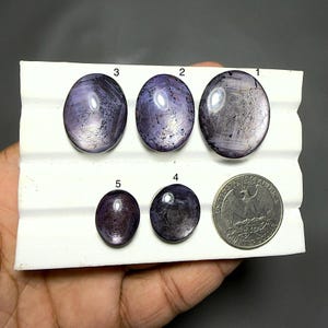 Pode incluir: Cinco safiras estrela roxas de formato oval com inclusões visíveis e reflexos de luz internos, numeradas de 1 a 5. Uma moeda de um quarto de dólar americano está colocada ao lado das pedras em uma bandeja branca ranhurada.