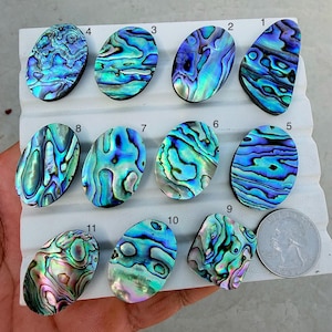 May include: A collection of eleven iridescent abalone shell cabochons in various oval and irregular shapes. The shells display a range of blues, greens, and purples with swirling patterns. A coin is included for size reference.