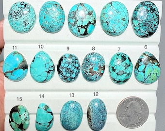 May include: A collection of fifteen turquoise gemstones, each with unique patterns and colors. The stones vary in shape, from oval to teardrop, and feature a mix of blue, green, and brown hues. A U.S. quarter is included for size reference.