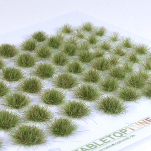 Può includere: Un foglio di 40 ciuffi di erba artificiale verde e marrone, perfetti per aggiungere dettagli realistici a paesaggi in miniatura e scene in miniatura.