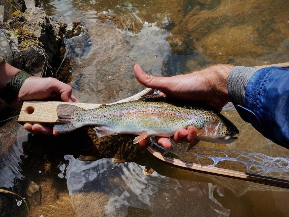 Handmade Fly Fishing Landing Net Etsy