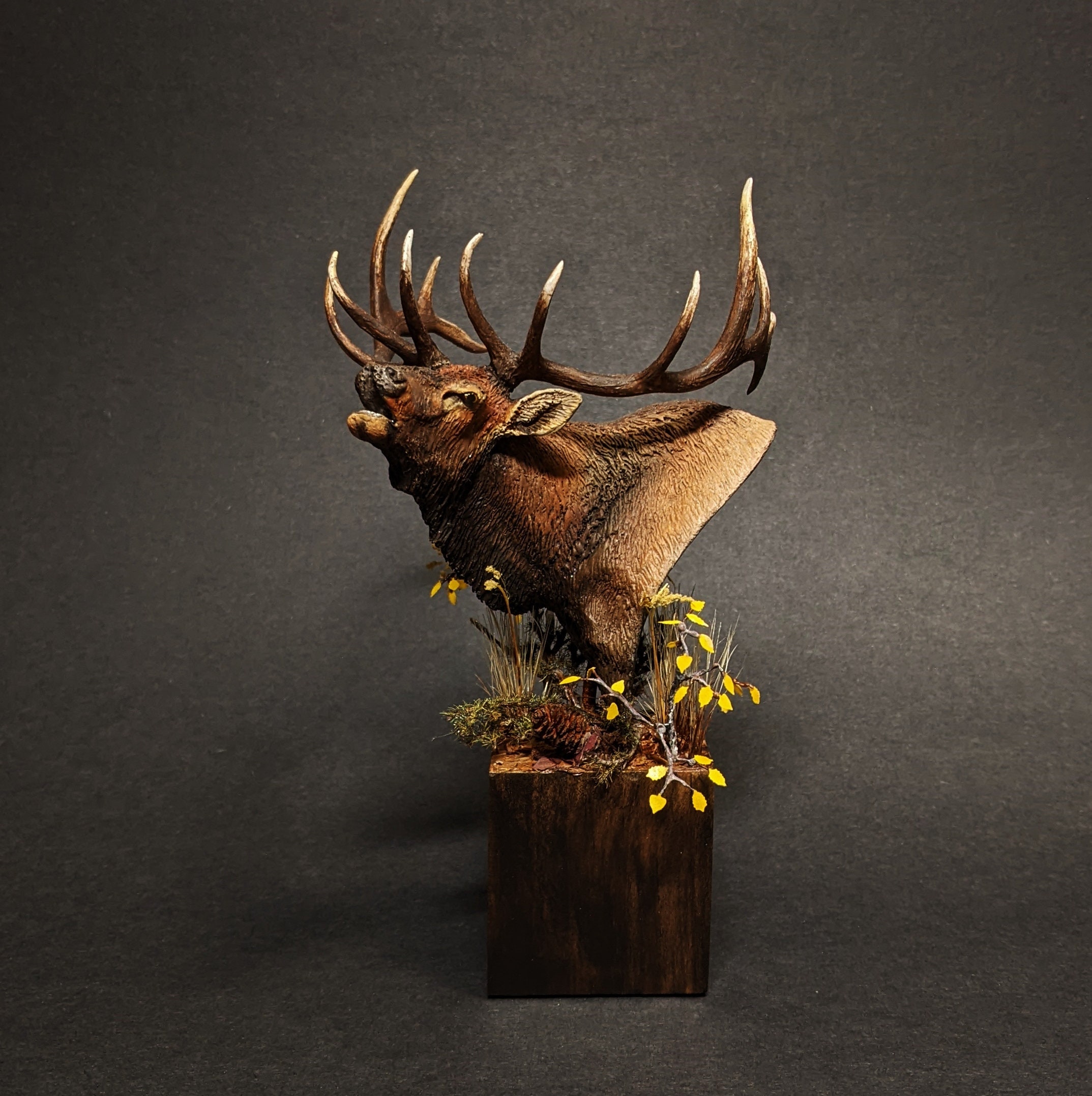 Elk Bull Mount