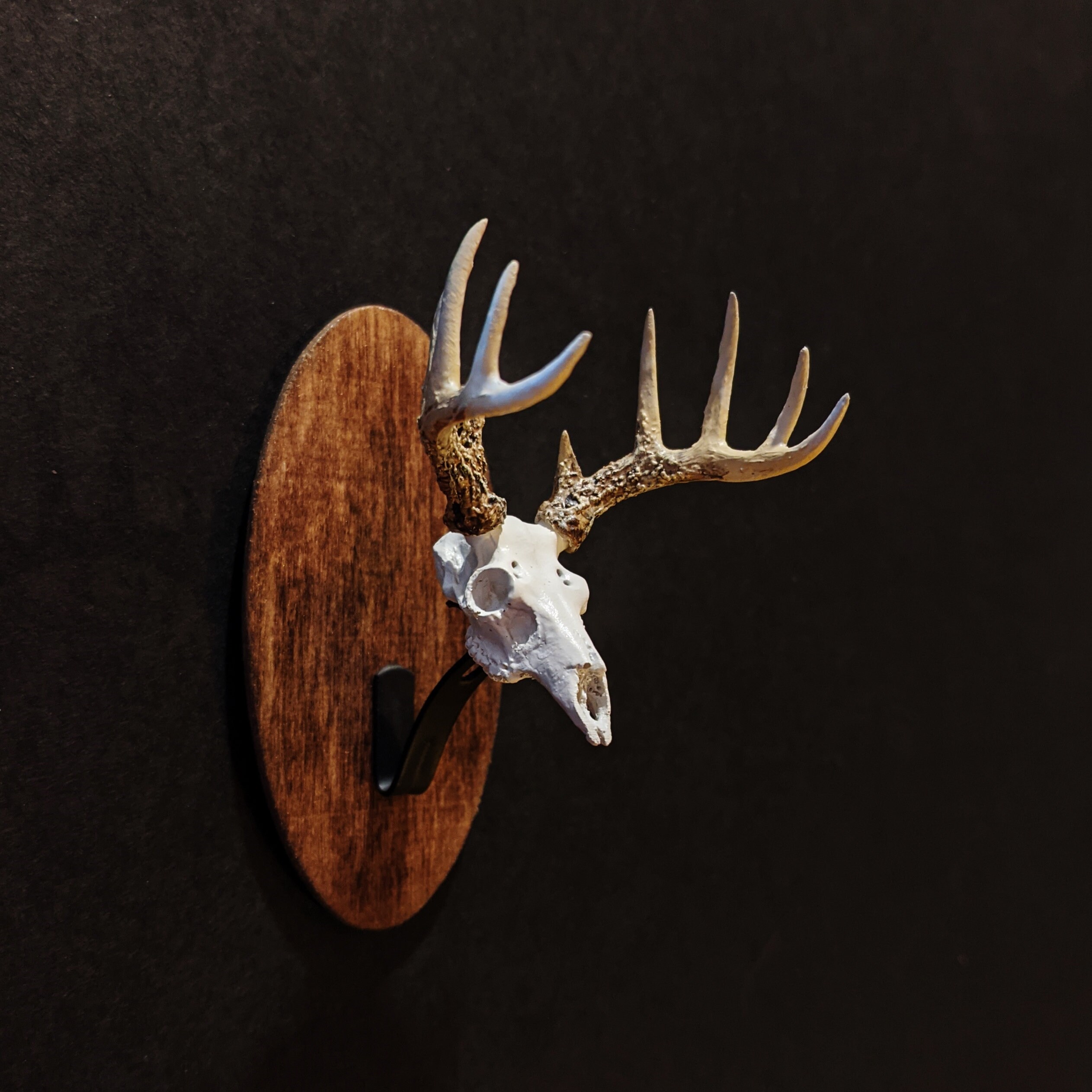 Whitetail Deer Mounts for sale 76 ads for used Whitetail Deer Mounts