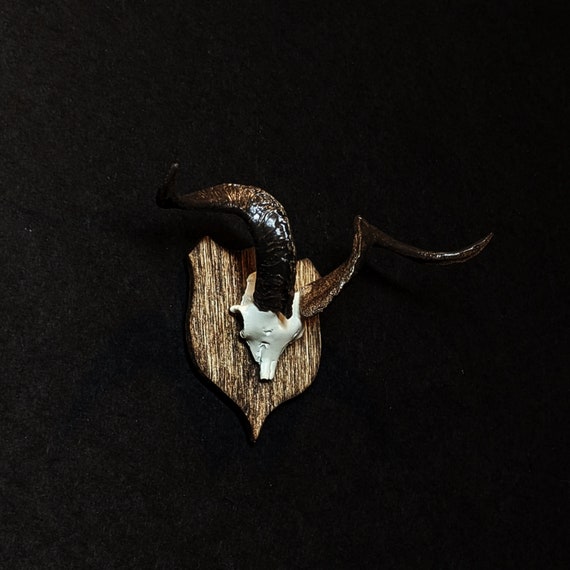 Catalina Feral Goat skull Cap Miniature 