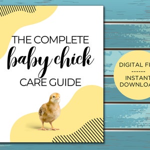Complete Baby Chick Care Guide (digital Download) - Etsy