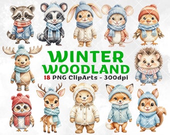 Winter Woodland Animals Clipart PNG, Forest Animals, Woodland Animal Clipart, Winter Clipart, nursery decor, baby shower, Sublimation Design