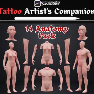 4K Procreate 3D models for tattoo artists , Procreate Tattoo model , tattoo simulation , 3D woman model , 3D man model | Procreate stamps |