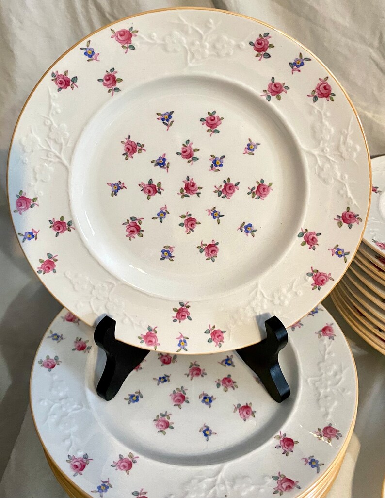 Rare Charlene Copeland Spode Dinnerware Set 45 Piece China Set Etsy