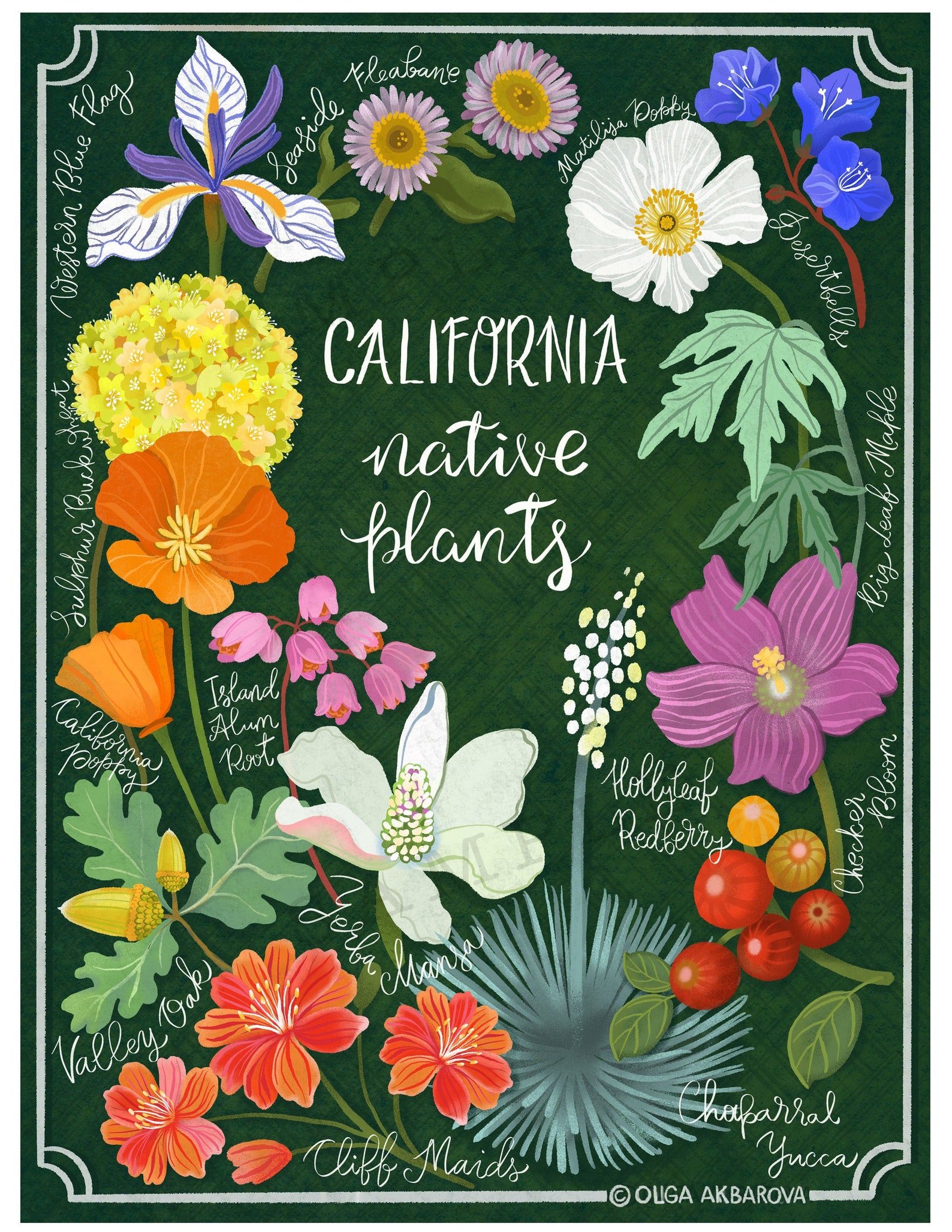 California Native Plants