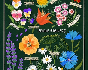 Edible Plants Art Print