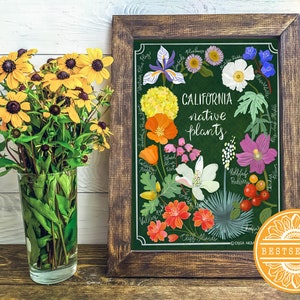 Lámina artística de plantas nativas de California (botánica, realista, amapola de California, matilija, iris, guía ilustrada de regalo)