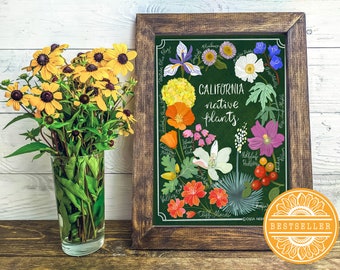California Native Plants Art Print (Botanical, Realistic, California Poppy, Matilija, Iris, Illustrated Guide Gift)