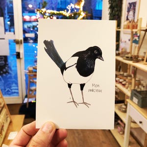 Carte postale pie