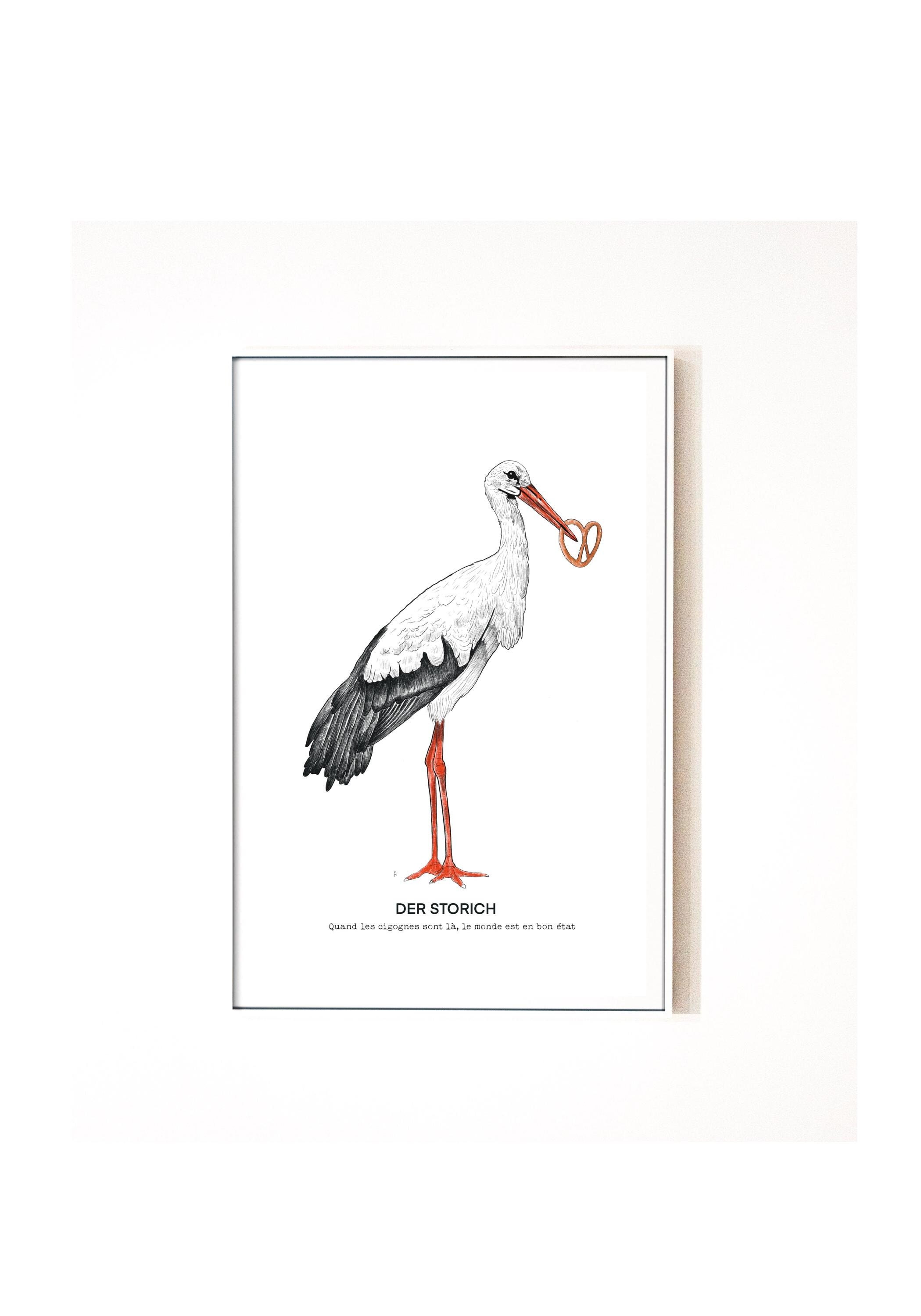 Print A4 stork stork storch pretzel pretzel Alsace Elsass