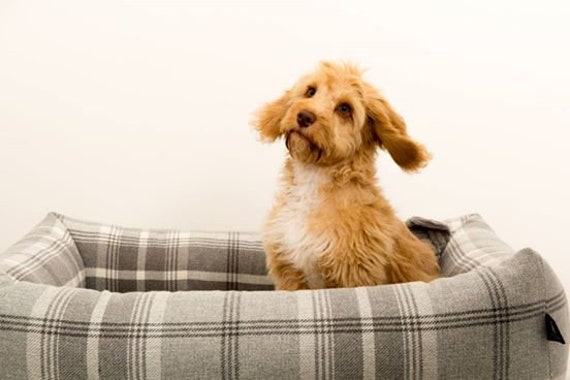 Luxury Chunky Memory Foam Dog Bed Etsy