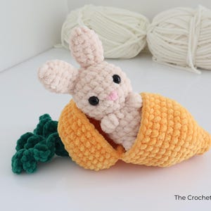 May include: A crocheted bunny toy in a carrot. The bunny is light pink with black eyes and a pink nose. The carrot is orange with green leaves. The Crochet Code is written on the bottom right.