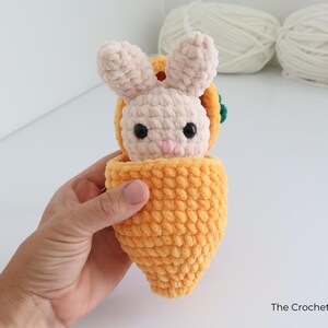 May include: A handmade crochet bunny toy in a carrot-shaped carrier. The bunny is light pink with black eyes and a pink nose. The carrot is bright orange with a green top. The Crochet Code is written on the bottom right.