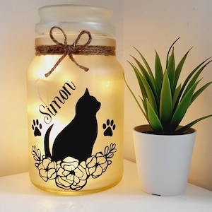 Cat Night Light: Frosted Jar, Cat Lover Gift, personalised cat present