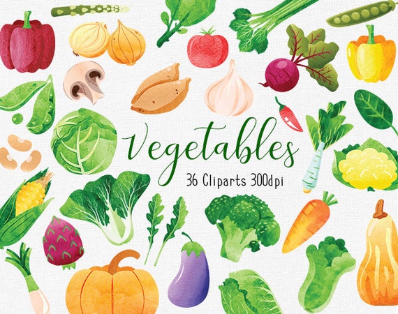 Watercolor Vegetables Clipart Collection Food Icon Tomato | Etsy