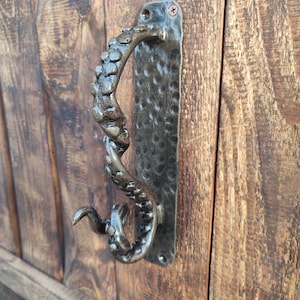 Può includere: Una maniglia per porta in metallo scuro con un design a tentacolo di polpo. La maniglia è montata su una piastra rettangolare strutturata con finitura martellata. La maniglia è attaccata a una porta di legno.