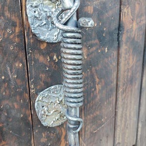 May include: A silver metal door handle with a coiled design and a snake head detail. The handle is mounted on a dark wooden door. The design includes two decorative circular plates. The handle is made of metal.