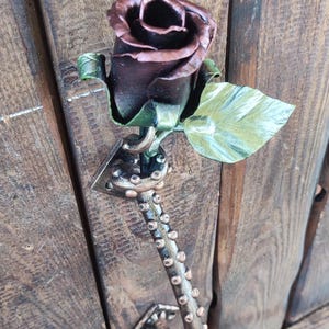 Può includere: Una rosa di metallo con finitura in rame e uno stelo che ricorda un tentacolo di polpo. La rosa è fissata a una porta di legno.