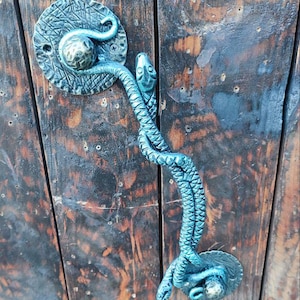 Puede incluir: Una manija de puerta de serpiente azul turquesa con una base circular texturizada. La manija está unida a una puerta de madera.