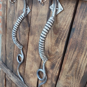 Puede incluir: Dos tiradores de puerta de metal plateado con forma de dragón con cuerpos en espiral y un acabado decorativo. Los tiradores están montados en una superficie de madera.